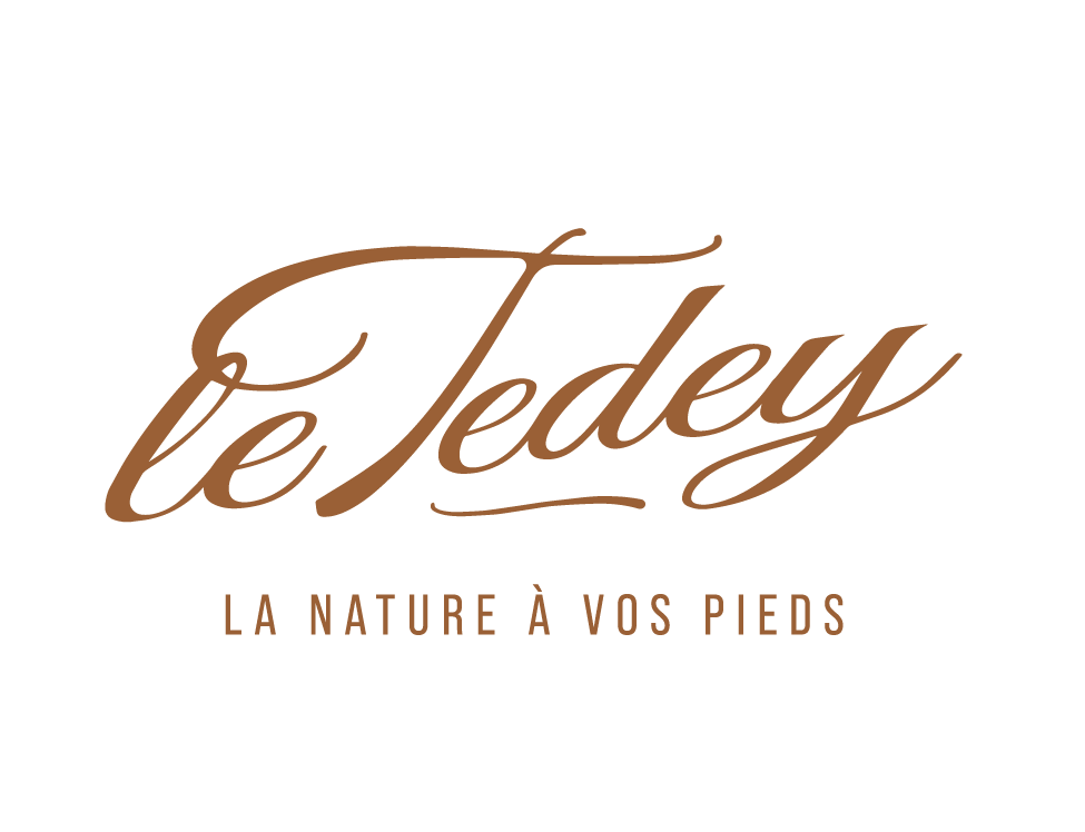 le Tedey - Camping 4 ****