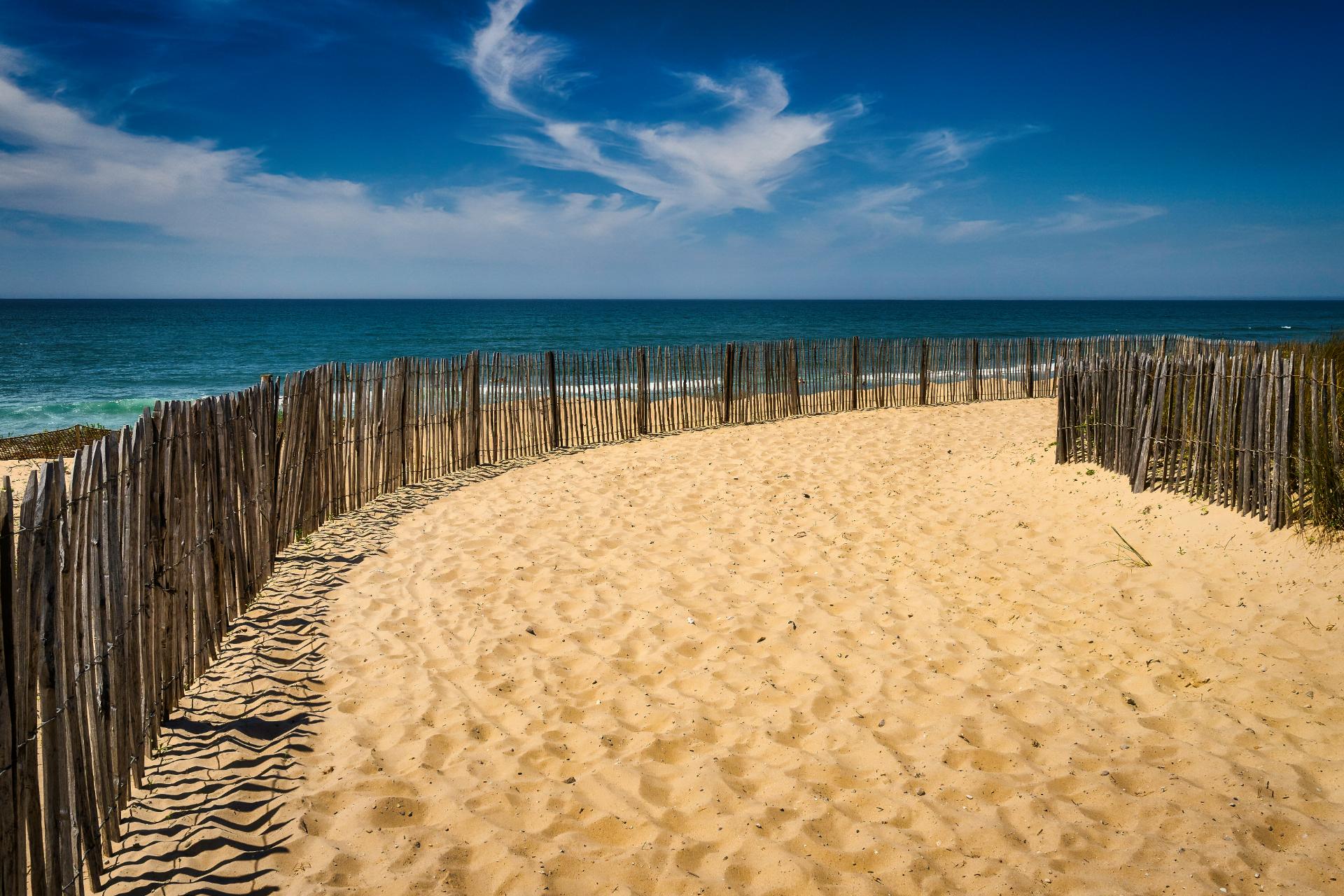 Discover Lacanau Ocan in the heart of Gironde - le Tedey - Camping 4 ****